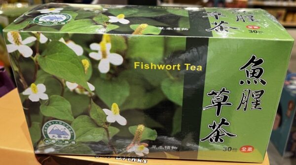 魚腥草茶